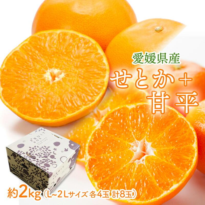   フルーツ 愛媛県産 せとか   甘平 約2kg （ L〜２Lサイズ せとか4玉   甘平4玉 計8玉 ） 果物 柑橘 みかん 食べ比べ 送料無料 NENP013