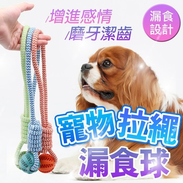 TPR橡膠玩具 潔牙玩具球【寵物拉繩漏食球】潔牙球 磨牙玩具球 磨牙潔齒 橄欖球 橡膠球 耐咬 漏食玩具 狗狗玩具