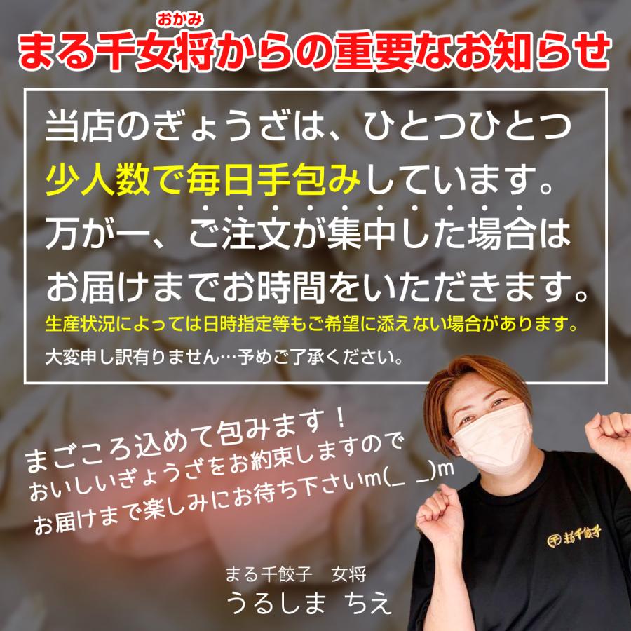 まる千餃子100個　横綱パック50個入り×２袋　にんにくありなしが選べる！