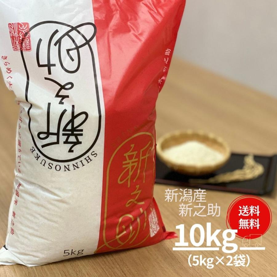 新米 米 お米 10kg 新之助 新潟米 5kg×2袋 本州送料無料 令和5年産