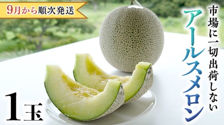  秋にお届け！  リピーター 多数 の 完熟 アールスメロン １玉入箱 茨城 メロン 青肉 期間限定 数量限定 マスクメロン [AF086ci]