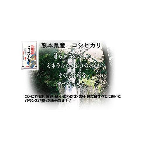 新米 米 お米 ５ｋｇ 熊本県産 くまモン こしひかり 白米 令和５年産