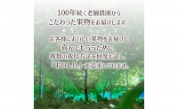 先行予約 フルーツ シャインマスカット 1房 ＆ 川中島白桃・川中島白鳳 各2玉 果物 デザート ぶどう 葡萄 ブドウ シャイン マスカット 桃 もも 白桃 セット 詰め合わせ 産地直送 信州 2023年秋発送