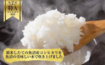 新潟県 魚沼産 備蓄 コシヒカリ ご飯 200g×10 パック ごはん レンジ 簡単 巣籠り 無添加