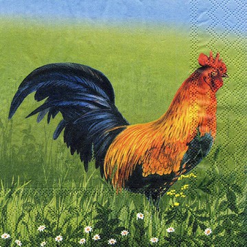 德國 IHR-33*33cm餐巾紙-雞