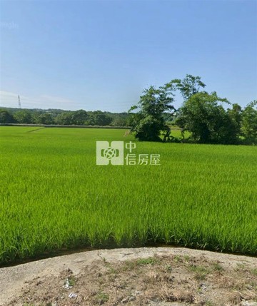 外埔區低於公告現值便宜農地｜台中市外埔區虎尾寮段