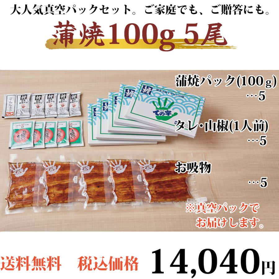 お歳暮 うなぎ 鰻 国産 プレゼント ギフト 蒲焼 100g×5セット ての字 化粧箱入り