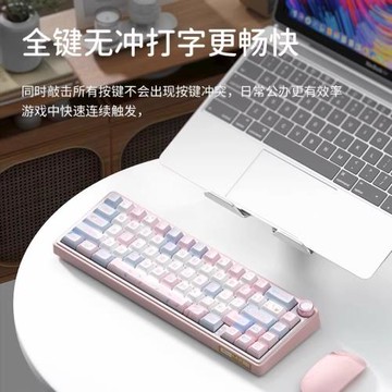 RKR65客制化機械鍵盤RGB小型便攜女生無線藍牙三模GASKET全鍵插拔