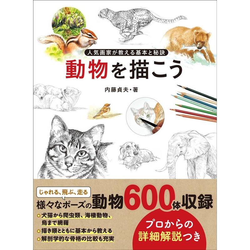 動物を描こう