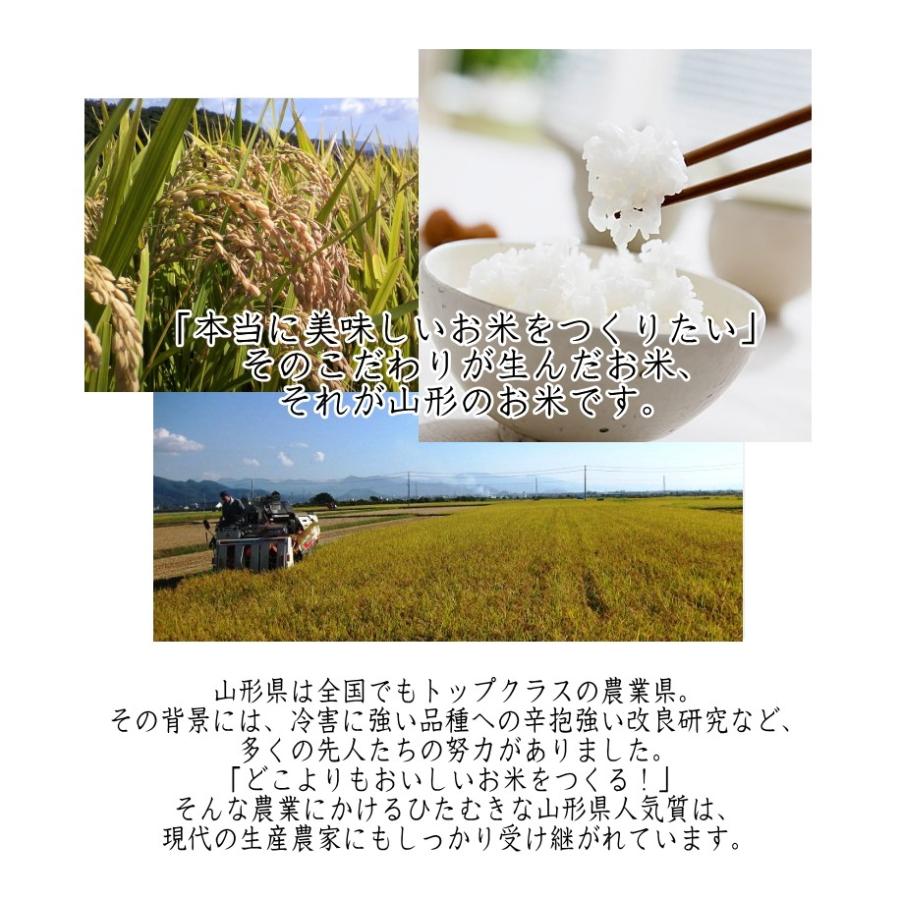お米 20kg (5kg×4袋) 米屋仕立て 国内産 オリジナルブレンド米