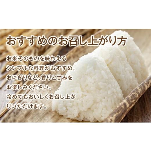 ふるさと納税 福島県 田村市   田村産  ＼定期便6回／ コシヒカリ 1俵 60kg 10kg ずつ 6回 配送ギフト 贅沢 のし対応 １週間…