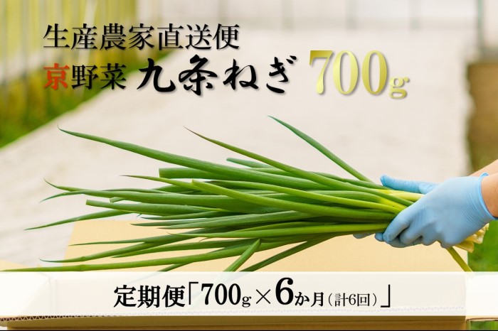 生産農家直送　京野菜・九条ねぎ  700g×6回