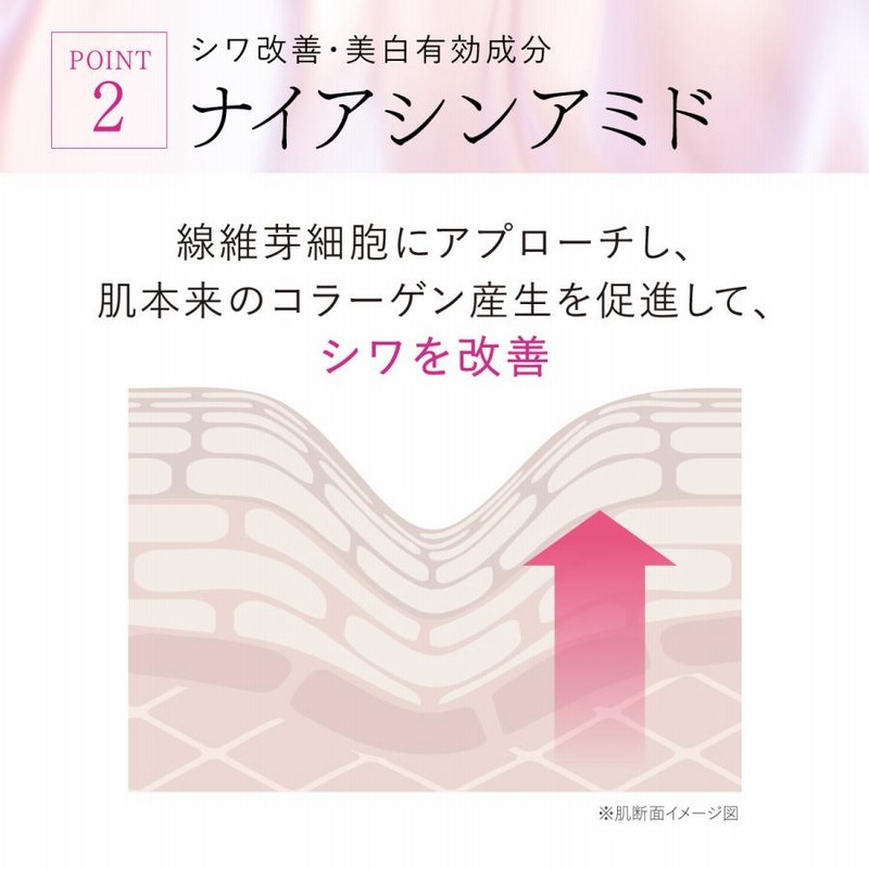 アスタリフト ザ セラム リンクルリペア 朝用2g 夜用8g 約30日分