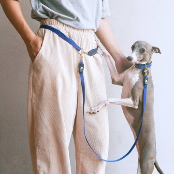 多功能經典寵物牽引繩適用於狗和貓的可調長度皮帶。