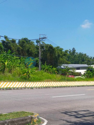 仁武義大世界都市計劃內農地｜高雄市仁武區觀音湖段
