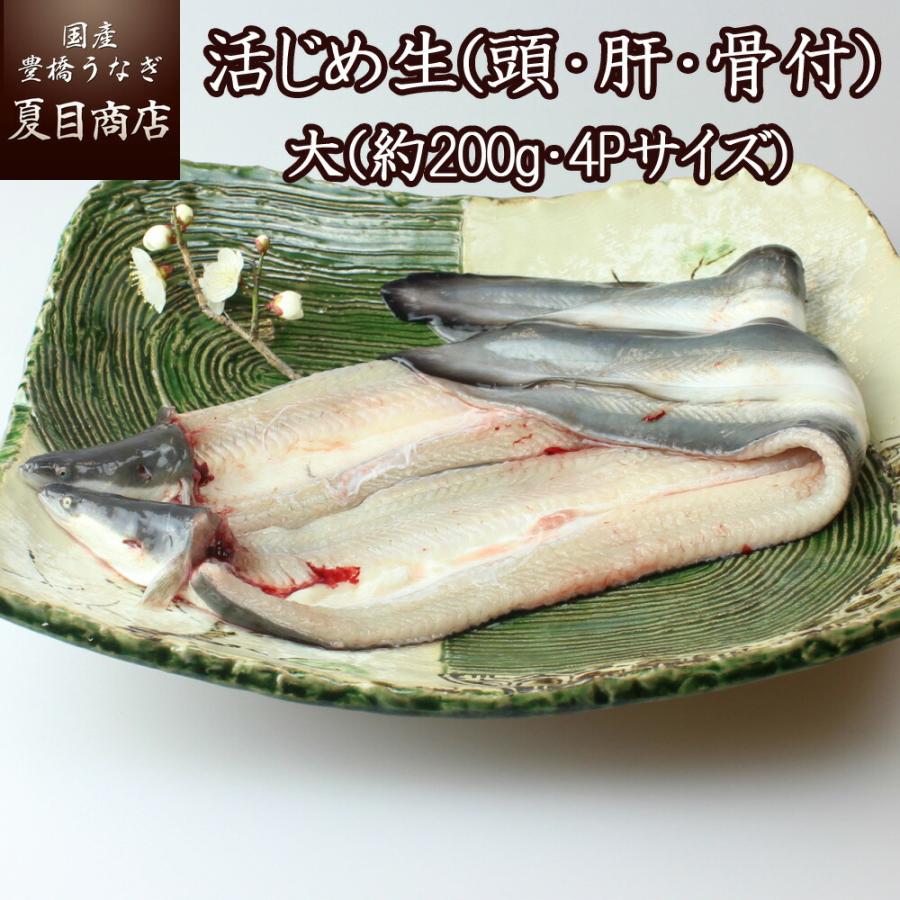 国産 うなぎ 生 (頭・肝・骨付)  活じめ 4Pサイズ(約200g)