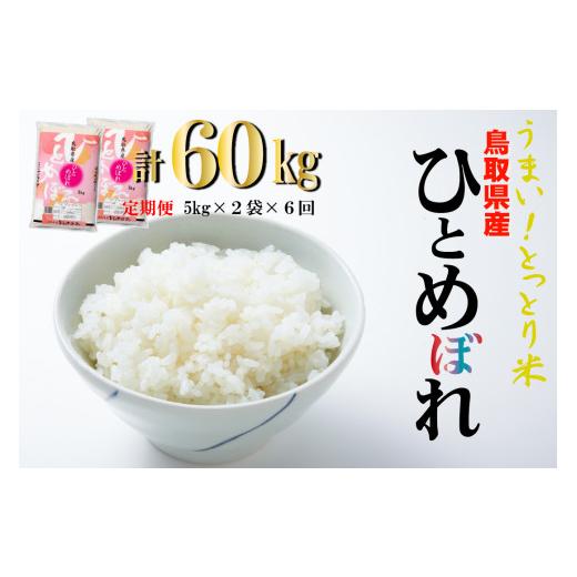 ふるさと納税 鳥取県 倉吉市 鳥取県産ひとめぼれ6回定期便（10ｋｇ×６回）