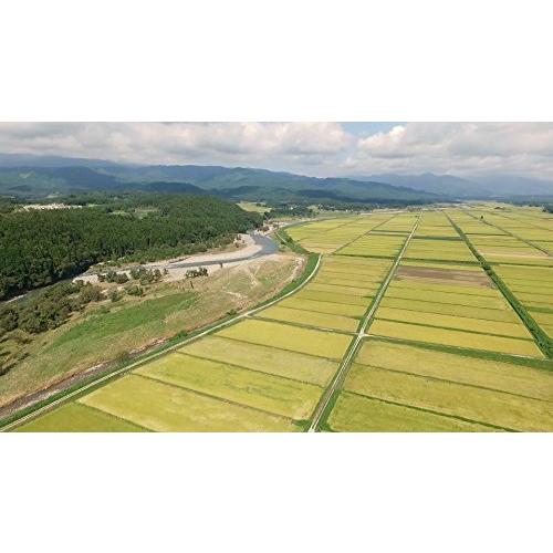 栃木県産 無洗米 コシヒカリ 5kg