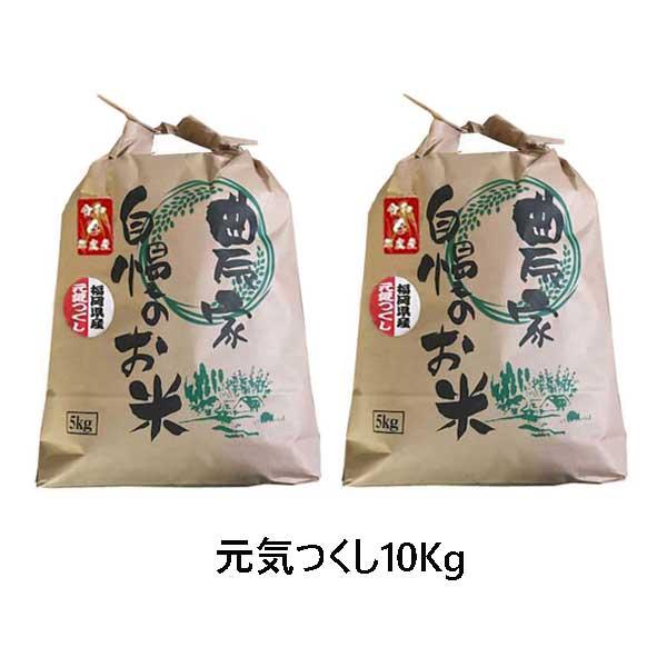 元気つくし  10kg (5kg×2) ]　令和5年産  福岡県産　農家直送　送料無料　新米