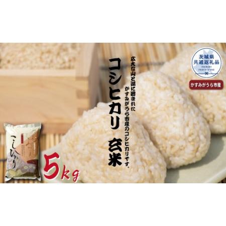 ふるさと納税 コシヒカリ　玄米5kg（茨城県共通返礼品・かすみがうら市産） 茨城県那珂市