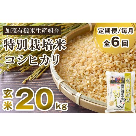 ふるさと納税 新潟県加茂市産 特別栽培米コシヒカリ 玄米20kg（5kg×4）従来品種コシヒカリ 加茂有機米生産組合 .. 新潟県加茂市