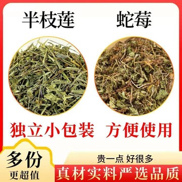 熱賣推薦✨特級茶包 半枝蓮蛇莓茶 3公克/袋 獨立包裝 真材實料 泡水 煮水 養生茶 泡茶 家庭裝 辦公室