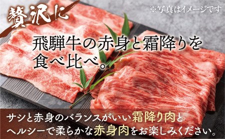 飛騨牛霜降り・赤身　すきやきしゃぶしゃぶ 各350g（計700g）牛肉 和牛 バラ モモカタ 食べ比べ 贈り物 ギフト 飛騨市[Q1030]