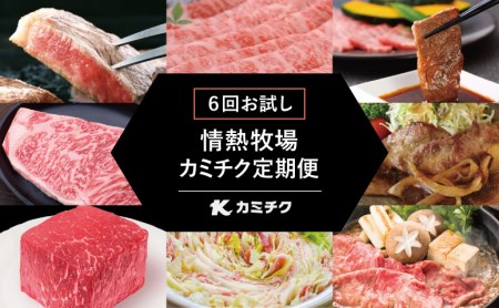 情熱牧場 鹿児島県産お肉の定期便 トライアルコース（全6回）お肉 ステーキ すき焼き しゃぶしゃぶ A5等級 黒毛和牛 牛肉 豚肉 焼肉 定期便 冷凍