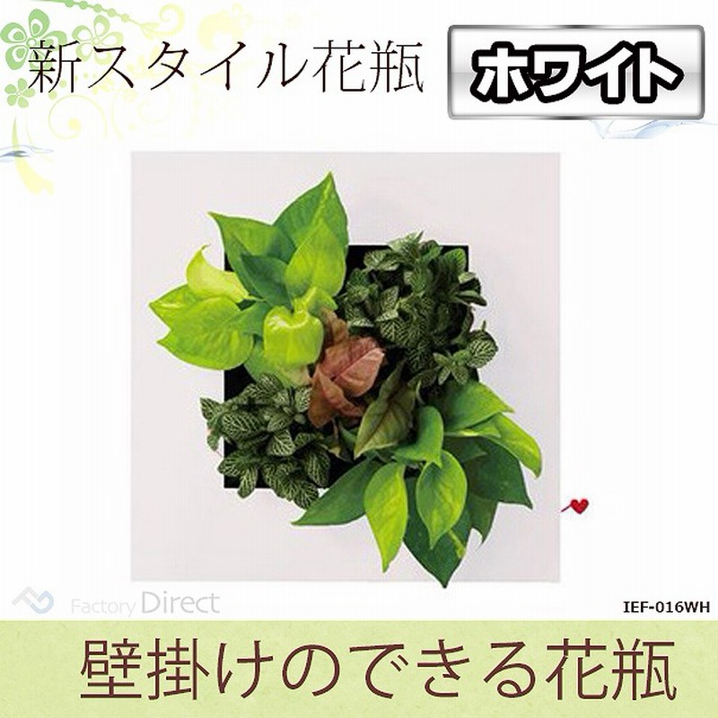 Ief 016wh ホワイトカラー スタイリッシュ壁掛け花瓶スタンド Newライフスタイル 熟練した職人の手作り品 花瓶 インテリア シンプル 観葉植物 水耕栽培 大人気の多肉植物にも 風水 ラッキーカラーで運気アップ 通販 Lineポイント最大5 0 Get Lineショッピング