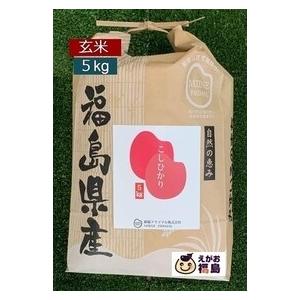 10%OFFクーポン 新米 お米 5Kg 玄米 コシヒカリ 福島県産 令和５年産 こしひかり 米袋 真空パック 備蓄 一部地域、送料無料