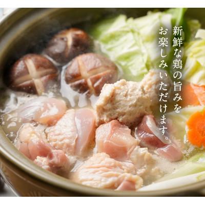 ふるさと納税 水巻町 福岡限定!はかた地どり美人水炊き5種セット　2〜3人前(水巻町)