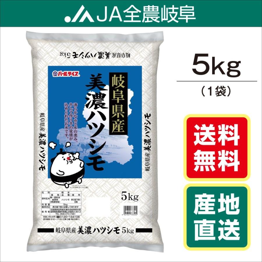 米　令和5年産 お米　5kg　美濃ハツシモ　岐阜県産（5kg×1袋）　送料無料（一部地域を除く）レビュー投稿でエコバックが付く