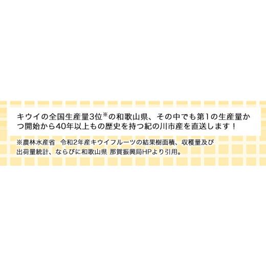 ふるさと納税 和歌山県 紀の川市 和歌山県紀の川市産 紀の姫キウイフルーツ約1.8kg 紀の川市厳選館 《2024年1月中旬から3月下旬頃より順…