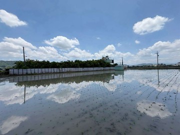 HR中興新村光復段｜地上已有興建合法農舍都計內農地｜南投縣南投市光復段
