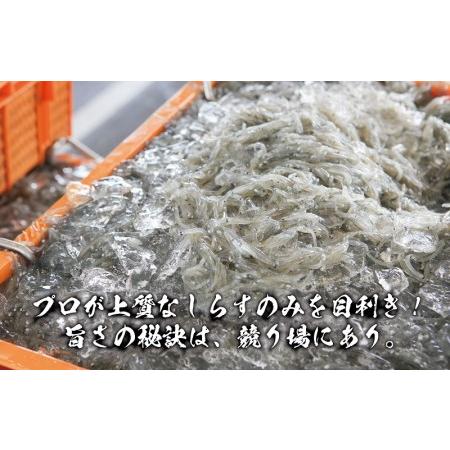 ふるさと納税 釜揚げしらす 合計 1kg（500g×2）  大阪府泉佐野市