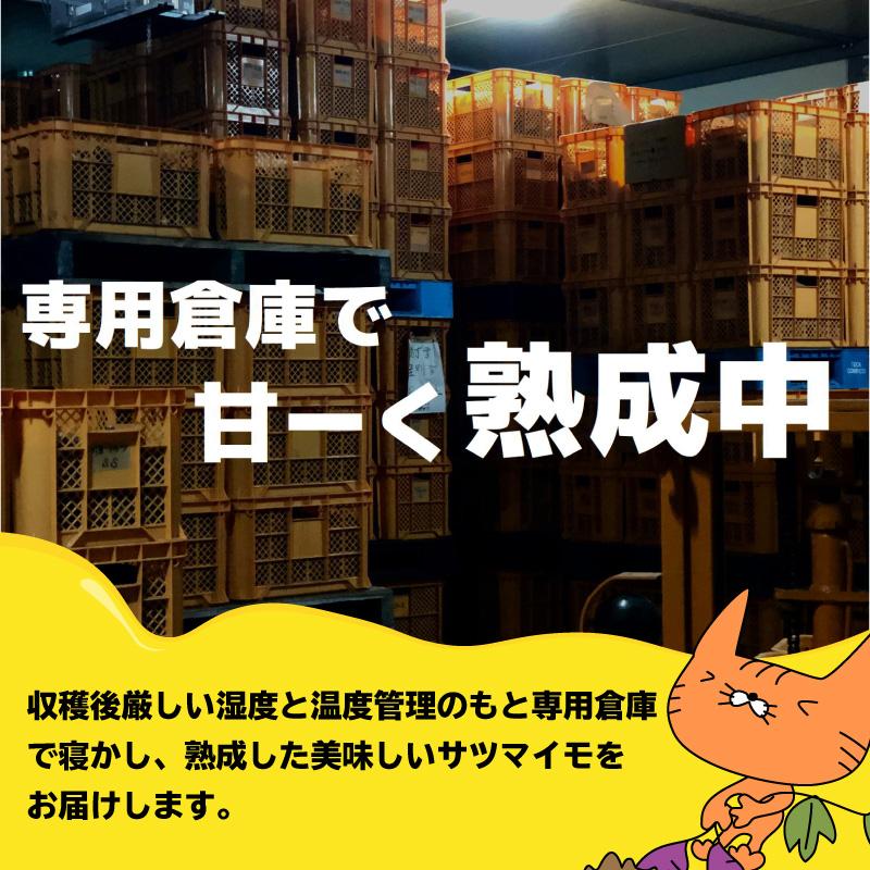 さつまいも 森の絹 サツマイモ  生芋 Lサイズ 5kg  甘すぎて研究対象になった ブランド 熟成 シルクスイート 島根県産 奥出雲 飯南町産 希少  焼き芋  農家直送