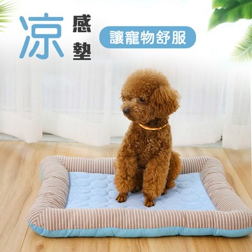 愛牠就要呵護牠【寵物涼感墊】台灣氣候偏熱 讓貓狗愛寵們舒爽 冰絲 透氣 抗悶 趴在上面很好睡 降溫 冷卻 送禮 犬 禽畜