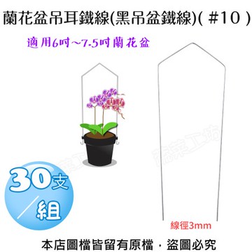 蘭花盆吊耳鐵線(黑吊盆鐵線)#10  30支/組