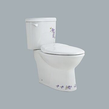 HCG彩繪兩件式馬桶40cm/CS4396(AL)