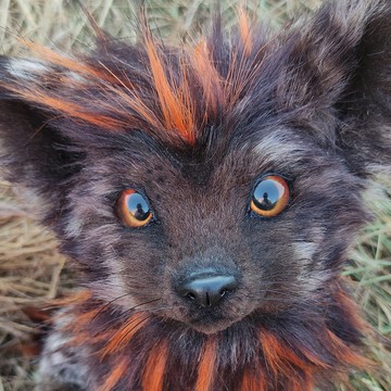 可愛的幻想生物小狗藝術娃娃手工製作的真實毛絨動物