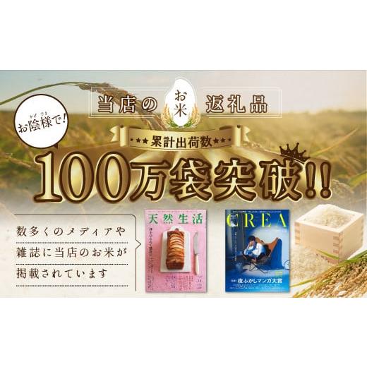 ふるさと納税 北海道 岩見沢市 令和5年産！五つ星お米マイスター監修　 北海道岩見沢産ななつぼし20kg※一括発送