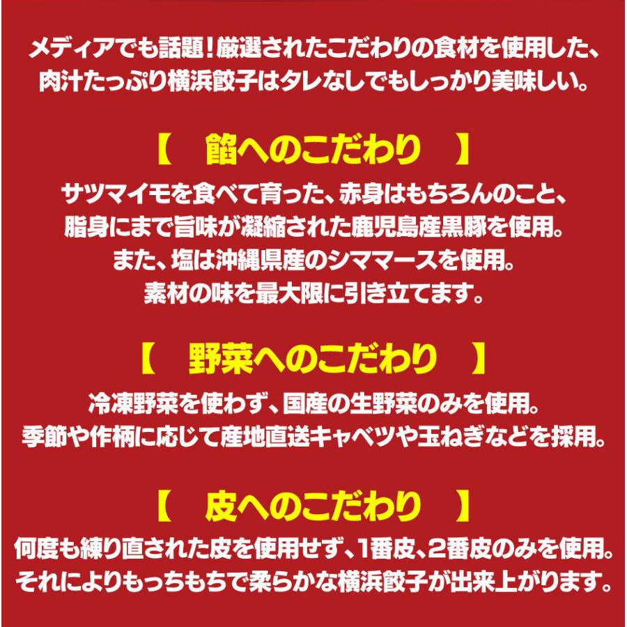 ハマトミ食品 横浜餃子マイルド４袋セット FN0SK