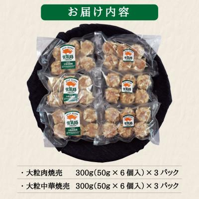 ふるさと納税 多古町 元気豚 大粒焼売2種セット(2種 合計36個入)