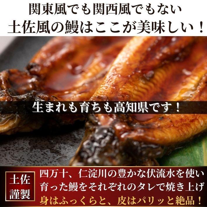 高知県産 うなぎ 蒲焼き 四万十川 仁淀川 食べ比べ 無投薬 国産  各1本  ギフト 贈答