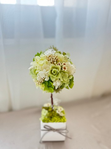永生花許願樹 永生花花球樹