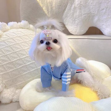 狗狗秋冬衣服寵物毛衣開衫馬爾濟斯比熊泰迪博美小型犬貓咪秋冬裝