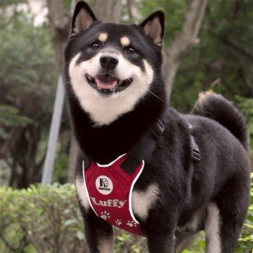 [NINKYPUP反光胸背牽繩組] 腳印款 姓名訂製--安全PLUS系列