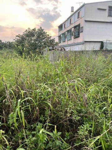 屏東縣高樹鄉南華鄰鹽埔鬧區便宜建地05771｜屏東縣高樹鄉南華段