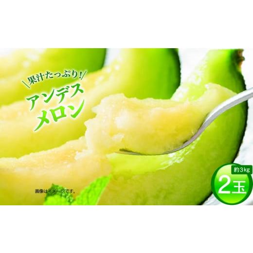 ふるさと納税 茨城県 鉾田市 アンデスメロン（2玉入り1箱）計3kg前後