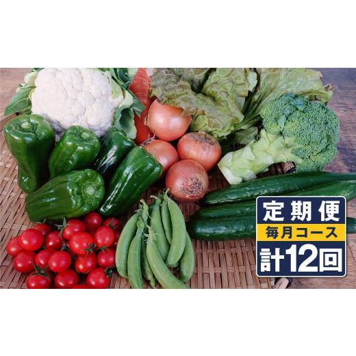 ふるさと納税 長崎県 時津町 野菜のプロ40年が届ける こだわり野菜セット！ 7〜8品目 詰め合わせ